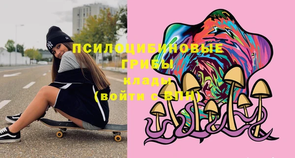 стафф Киреевск