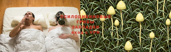 стафф Киреевск
