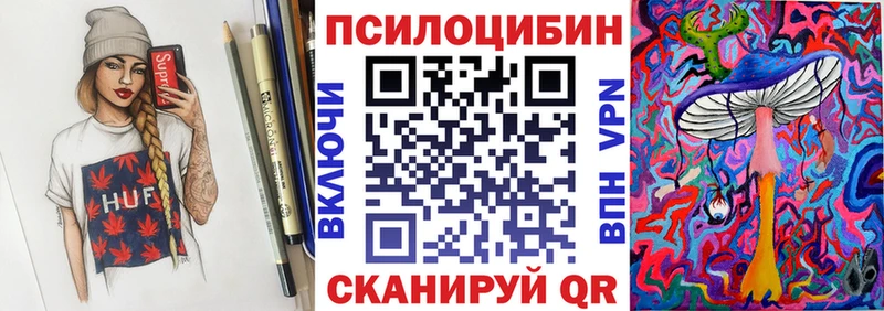 Купить закладки  Пестово  Псилоцибиновые грибы Cubensis 